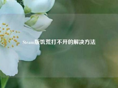 Steam版饥荒打不开的解决方法