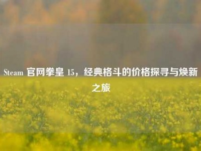 Steam 官网拳皇 15，经典格斗的价格探寻与焕新之旅