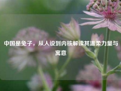 中国是兔子，从人设到内核解读其温柔力量与寓意