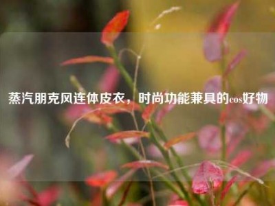 蒸汽朋克风连体皮衣，时尚功能兼具的cos好物