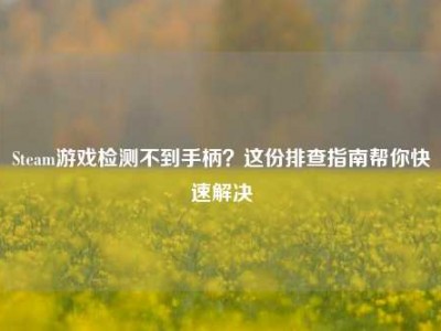 Steam游戏检测不到手柄？这份排查指南帮你快速解决