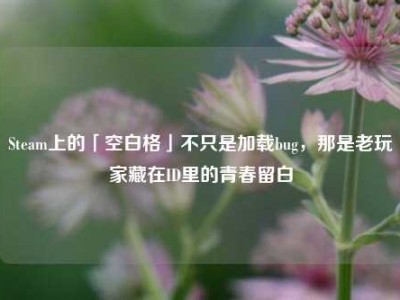 Steam上的「空白格」不只是加载bug，那是老玩家藏在ID里的青春留白