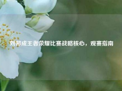 刘邦成王者荣耀比赛战略核心，观赛指南