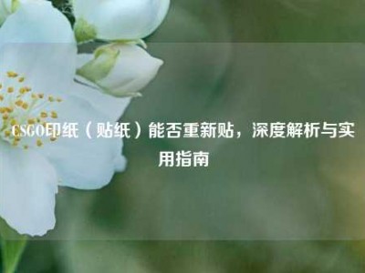 CSGO印纸（贴纸）能否重新贴，深度解析与实用指南