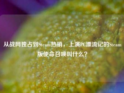从战网独占到Steam热销，上演PC漂流记的Steam版使命召唤叫什么？