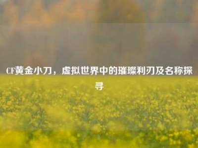 CF黄金小刀，虚拟世界中的璀璨利刃及名称探寻