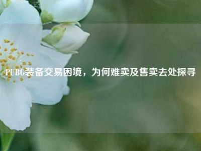PUBG装备交易困境，为何难卖及售卖去处探寻