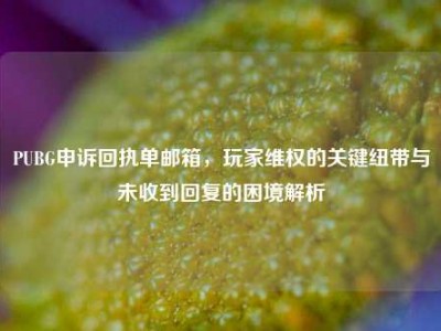 PUBG申诉回执单邮箱，玩家维权的关键纽带与未收到回复的困境解析