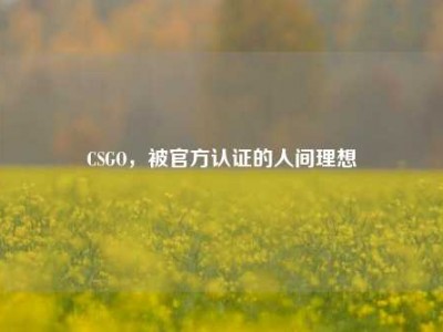 CSGO，被官方认证的人间理想