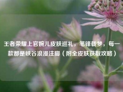 王者荣耀上官婉儿皮肤巡礼，笔锋载梦，每一款都是峡谷浪漫注脚（附全皮肤获取攻略）