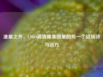 准星之外，CSGO高清唯美图里的另一个战场诗与远方