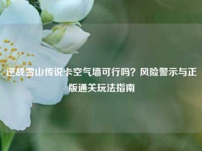逆战雪山传说卡空气墙可行吗？风险警示与正版通关玩法指南