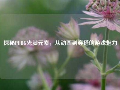 探秘PUBG光脚元素，从动画到穿搭的游戏魅力