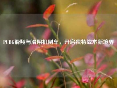 PUBG滑翔与滑翔机倒车，开启独特战术新境界