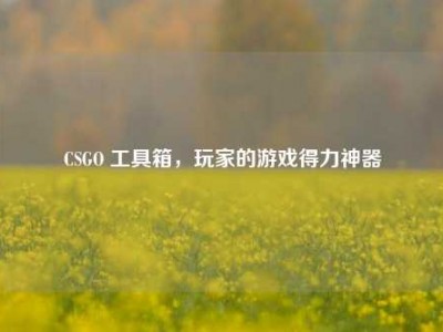 CSGO 工具箱，玩家的游戏得力神器