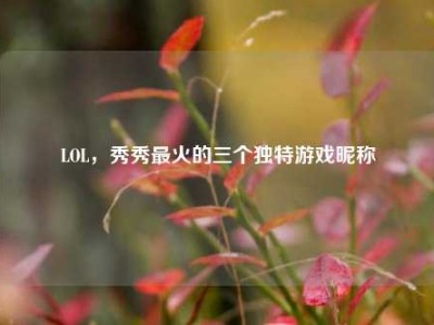 LOL，秀秀最火的三个独特游戏昵称
