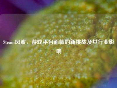 Steam风波，游戏平台面临的新挑战及其行业影响