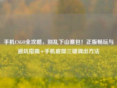 手机CSGO全攻略，别乱下山寨包！正版畅玩与避坑指南+手机底部三键调出方法