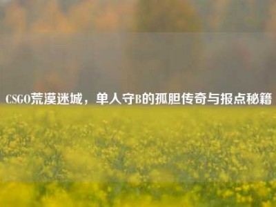 CSGO荒漠迷城，单人守B的孤胆传奇与报点秘籍