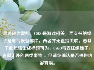 表述较为混乱，CSGO是游戏相关，而支柱绝缘子是电气设备部件，两者并无直接关联。若基于此勉强生成标题可为，CSGO与支柱绝缘子，看似无涉的两类事物 。但请你确认是否提供内容有误。