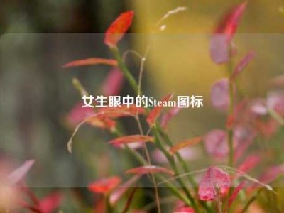 女生眼中的Steam图标
