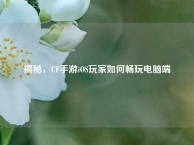 揭秘，CF手游iOS玩家如何畅玩电脑端