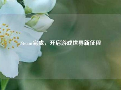Steam完成，开启游戏世界新征程