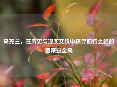 乌克兰，在历史与现实交织中探寻前行之路的国家安全局