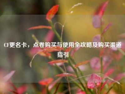 CF更名卡，点卷购买与使用全攻略及购买渠道指引