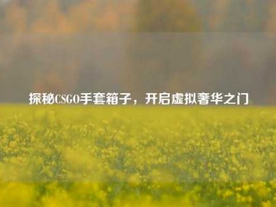 探秘CSGO手套箱子，开启虚拟奢华之门
