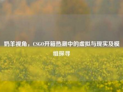 奶羊视角，CSGO开箱热潮中的虚拟与现实及模组探寻