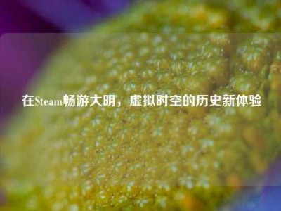 在Steam畅游大明，虚拟时空的历史新体验