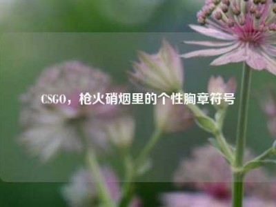 CSGO，枪火硝烟里的个性胸章符号