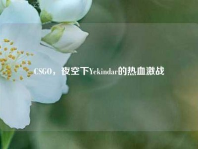 CSGO，夜空下Yekindar的热血激战