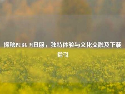 探秘PUBG M日服，独特体验与文化交融及下载指引