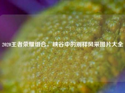 2020王者荣耀组合，峡谷中的别样风采图片大全