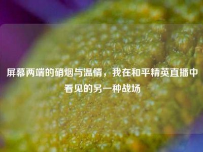 屏幕两端的硝烟与温情，我在和平精英直播中看见的另一种战场