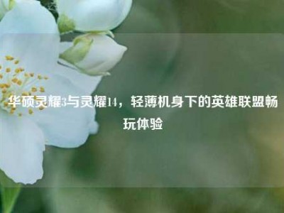 华硕灵耀3与灵耀14，轻薄机身下的英雄联盟畅玩体验