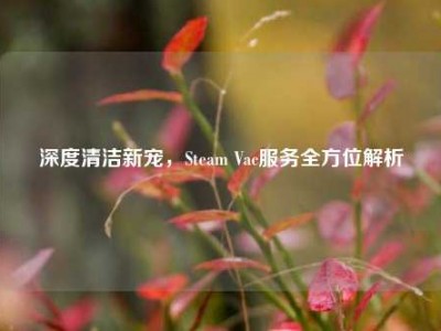 深度清洁新宠，Steam Vac服务全方位解析