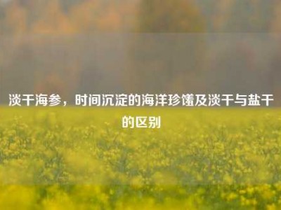 淡干海参，时间沉淀的海洋珍馐及淡干与盐干的区别