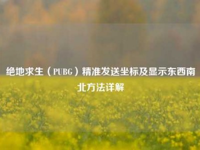 绝地求生（PUBG）精准发送坐标及显示东西南北方法详解