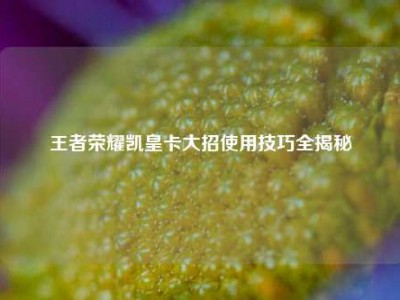 王者荣耀凯皇卡大招使用技巧全揭秘