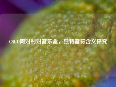CSGO阿对对对音乐盒，独特音符含义探究