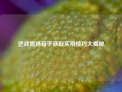 逆战猎场箱子获取实用技巧大揭秘