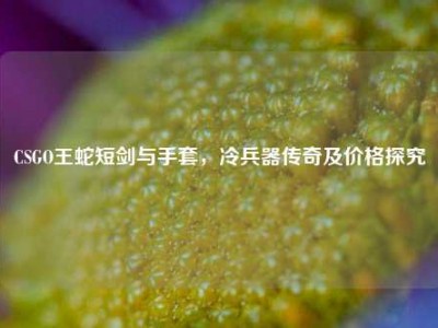 CSGO王蛇短剑与手套，冷兵器传奇及价格探究