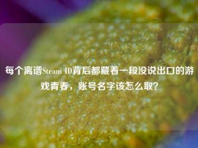 每个离谱Steam ID背后都藏着一段没说出口的游戏青春，账号名字该怎么取？