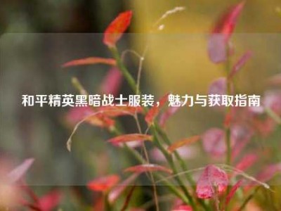 和平精英黑暗战士服装，魅力与获取指南