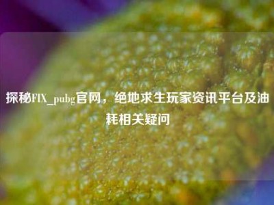 探秘FIX_pubg官网，绝地求生玩家资讯平台及油耗相关疑问