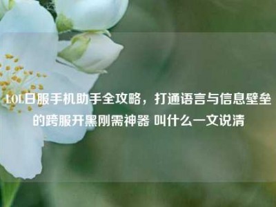 LOL日服手机助手全攻略，打通语言与信息壁垒的跨服开黑刚需神器 叫什么一文说清