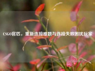 CSGO官匹，重新连接难题与连接失败困扰玩家